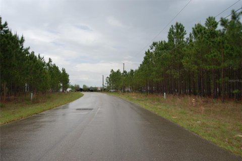 Terrain à vendre à Ocala, Floride № 1295883 - photo 3