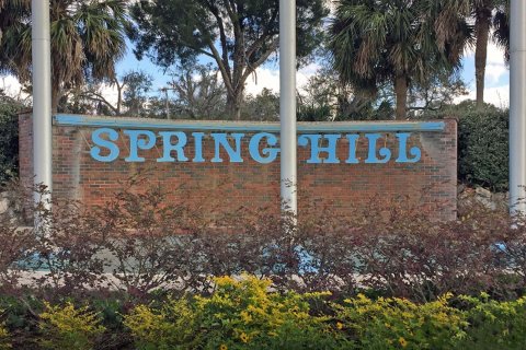 Villa ou maison à vendre à Spring Hill, Floride: 4 chambres, 212 m2 № 208184 - photo 7
