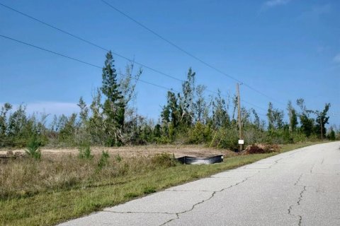 Terrain à vendre à Port Charlotte, Floride № 671808 - photo 3