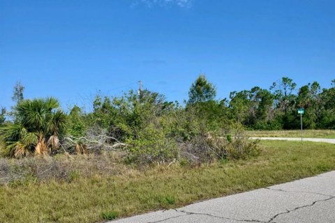 Land in Port Charlotte, Florida № 671808 - photo 2