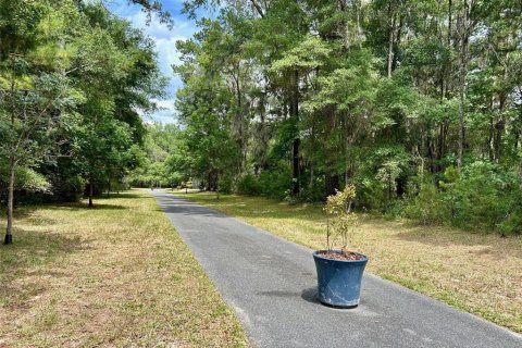 Terreno en venta en Gainesville, Florida № 1247549 - foto 5