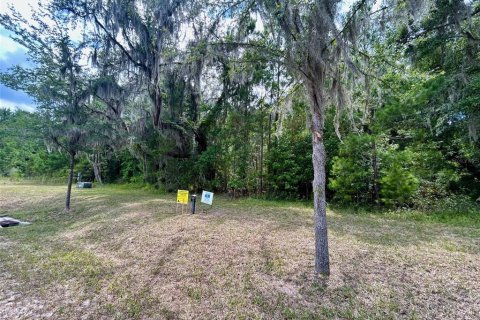 Terreno en venta en Gainesville, Florida № 1247549 - foto 7