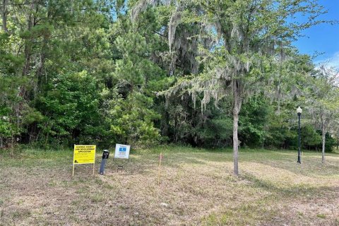 Terrain à vendre à Gainesville, Floride № 1247549 - photo 6