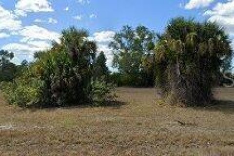 Купить земельный участок в Кейп-Корал, Флорида № 417797 - фото 5