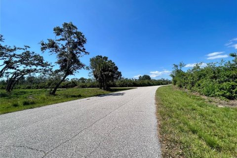 Land in Port Charlotte, Florida № 1249599 - photo 3