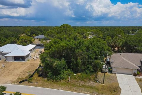 Land in Port Charlotte, Florida № 1334989 - photo 7