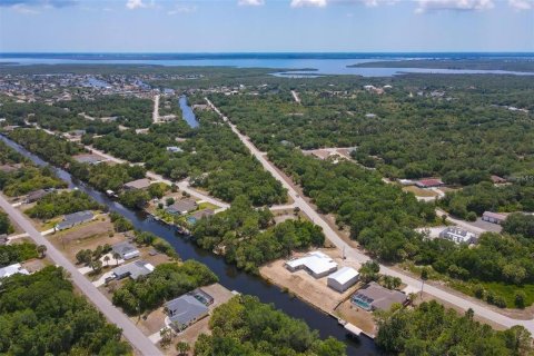 Land in Port Charlotte, Florida № 1334989 - photo 2