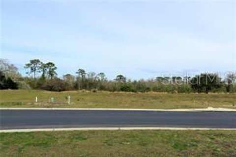 Terreno en venta en Auburndale, Florida № 1245641 - foto 12