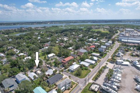 Villa ou maison à vendre à Saint Augustine, Floride: 2 chambres, 66.89 m2 № 773415 - photo 6