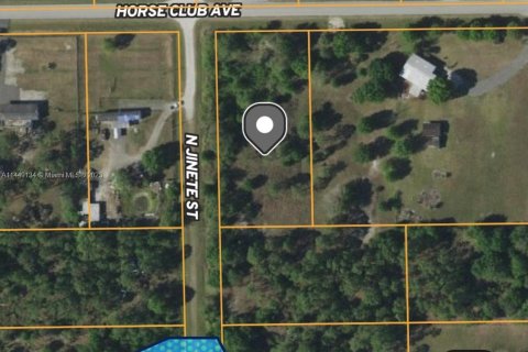 Terrain à vendre à Clewiston, Floride № 705677 - photo 6