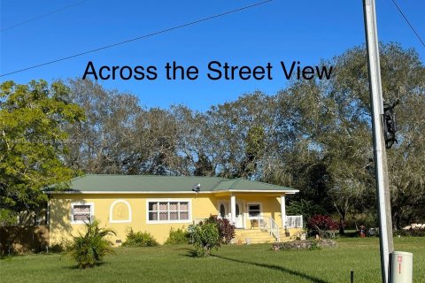 Terrain à vendre à Clewiston, Floride № 705677 - photo 27