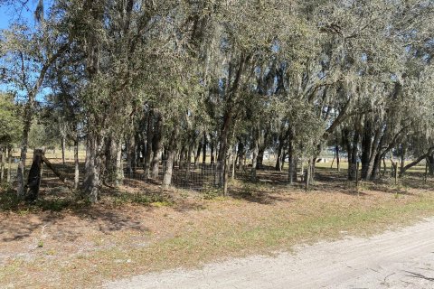 Land in Okeechobee, Florida № 991690 - photo 2