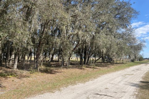 Land in Okeechobee, Florida № 991690 - photo 3