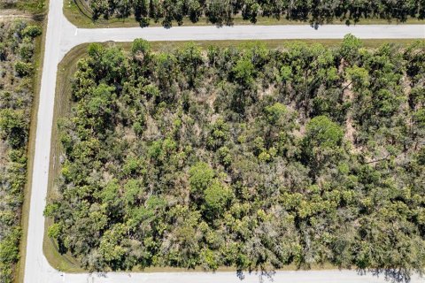 Terreno en venta en Port Charlotte, Florida № 1112880 - foto 9