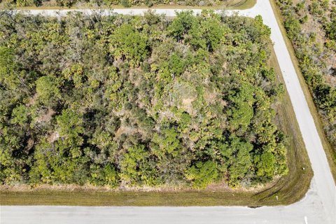 Terreno en venta en Port Charlotte, Florida № 1112880 - foto 5