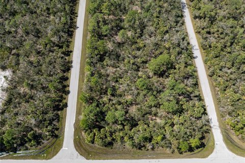 Terrain à vendre à Port Charlotte, Floride № 1112880 - photo 10