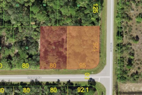 Land in Port Charlotte, Florida № 1112880 - photo 2