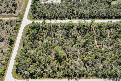 Terreno en venta en Port Charlotte, Florida № 1112880 - foto 8