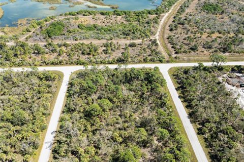 Land in Port Charlotte, Florida № 1112880 - photo 7