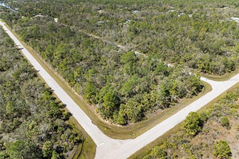 Land in Port Charlotte, Florida № 1112880 - photo 11