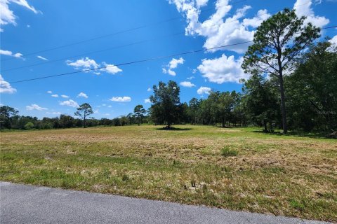 Terreno en venta en Dunnellon, Florida № 1344901 - foto 7