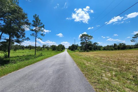 Terreno en venta en Dunnellon, Florida № 1344901 - foto 8