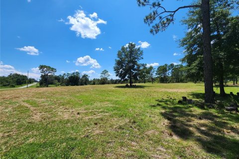 Terreno en venta en Dunnellon, Florida № 1344901 - foto 5