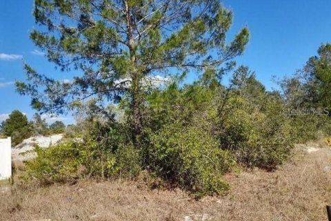 Terreno en venta en Kissimmee, Florida № 1314700 - foto 1