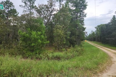 Terreno en venta en Dunnellon, Florida № 1382757 - foto 9