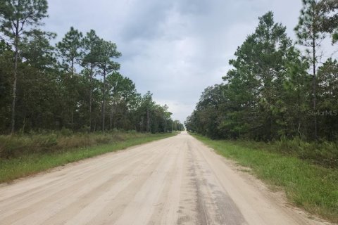 Terrain à vendre à Dunnellon, Floride № 1382757 - photo 8