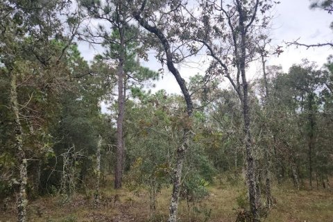 Terrain à vendre à Dunnellon, Floride № 1382757 - photo 6