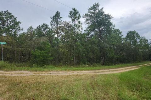 Terrain à vendre à Dunnellon, Floride № 1382757 - photo 3