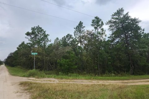 Terreno en venta en Dunnellon, Florida № 1382757 - foto 1