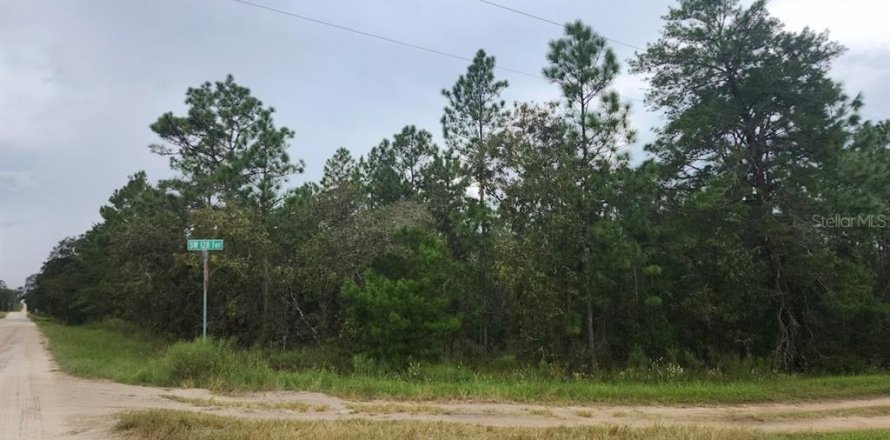 Land in Dunnellon, Florida № 1382757