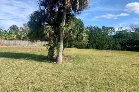 Terreno en venta en Tarpon Springs, Florida № 1382828 - foto 1