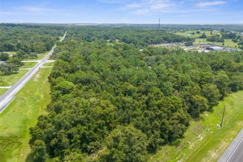 Land in Brooksville, Florida № 1316857 - photo 6