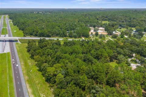 Land in Brooksville, Florida № 1316857 - photo 8