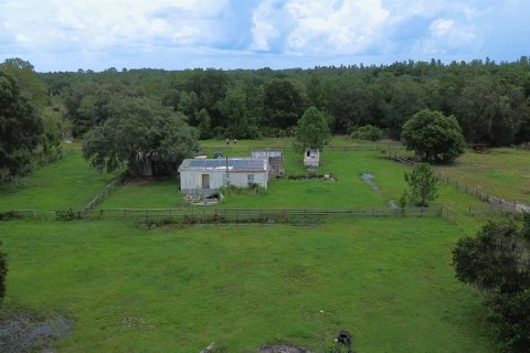 Land in Zephyrhills, Florida № 1316859 - photo 17