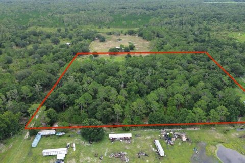 Land in Zephyrhills, Florida № 1316859 - photo 13