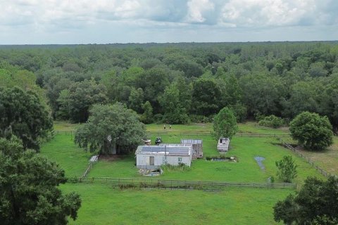 Land in Zephyrhills, Florida № 1316859 - photo 16