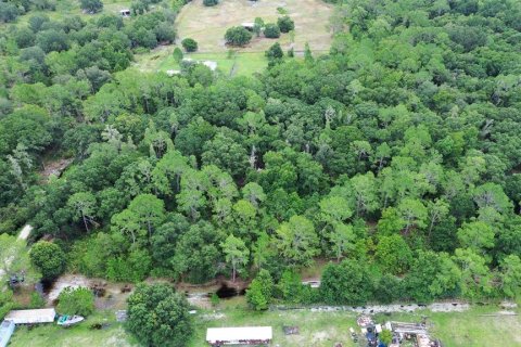 Land in Zephyrhills, Florida № 1316859 - photo 14