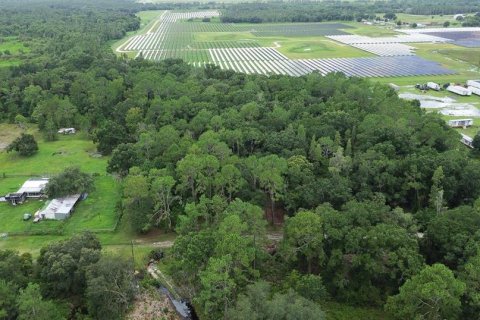 Terreno en venta en Zephyrhills, Florida № 1316859 - foto 5