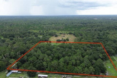 Terreno en venta en Zephyrhills, Florida № 1316859 - foto 12