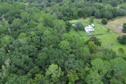 Land in Zephyrhills, Florida № 1316859 - photo 10