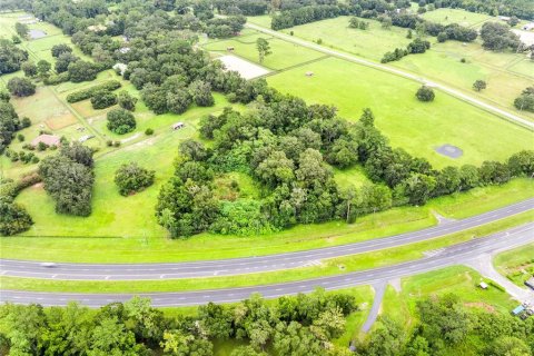 Terreno en venta en Ocala, Florida № 1334337 - foto 8