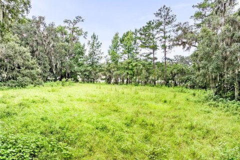 Terreno en venta en Ocala, Florida № 1334337 - foto 9