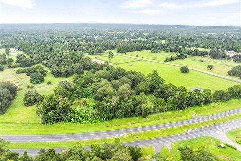 Land in Ocala, Florida № 1334337 - photo 1