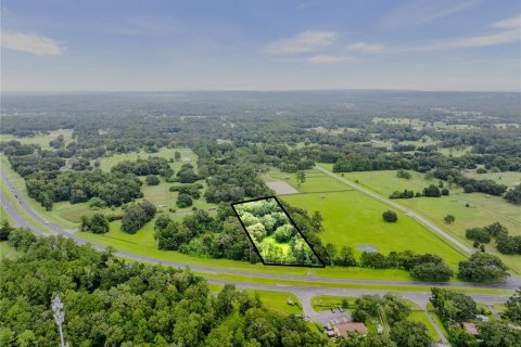 Terreno en venta en Ocala, Florida № 1334337 - foto 3