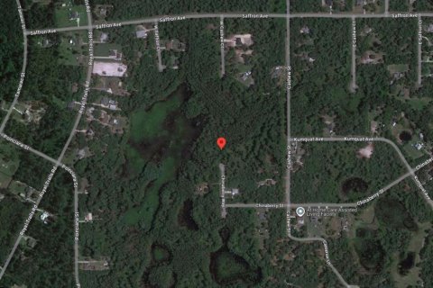 Terreno en venta en Eustis, Florida № 1404774 - foto 2