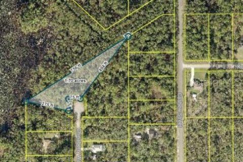 Terreno en venta en Eustis, Florida № 1404774 - foto 1